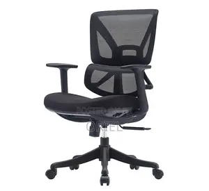 Modern Office Chair : Office Lumbar Support Swivel Mesh Chair
