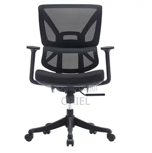 Modern Office Chair : Office Lumbar Support Swivel Mesh Chair