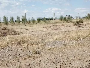 Olpejeta, Nanyuki, Prime 1⁄4 Acre Plot for Airbnb or Tourist Hotel,