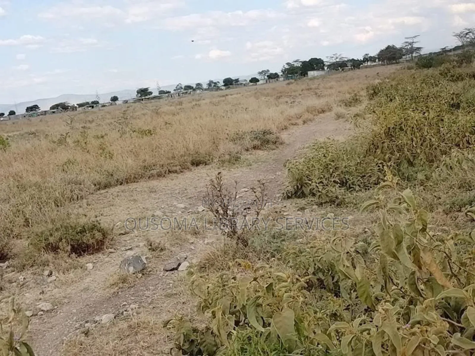 Olpejeta, Nanyuki, Prime 1⁄4 Acre Plot for Airbnb or Tourist Hotel,