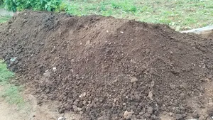 Organic Manure