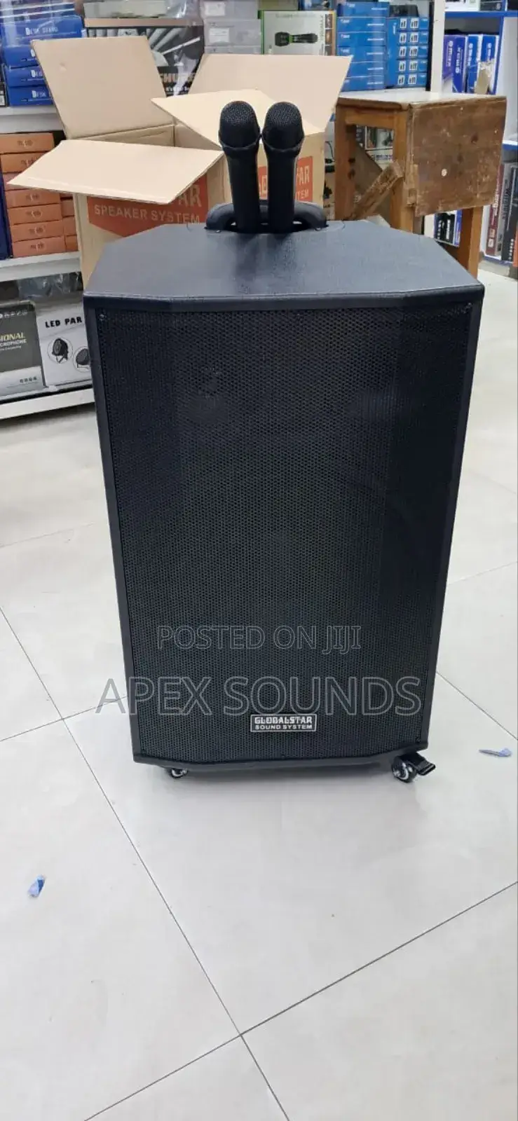 Globalstar Powered Speaker
