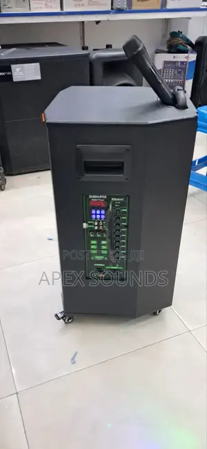 Globalstar Powered Speaker