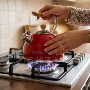 2.5l Retro-Style Stainless Steel Whistling