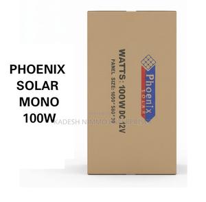 Phoenix Mono 100w Solar Panel 12v