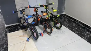 Beijing Kids Bike