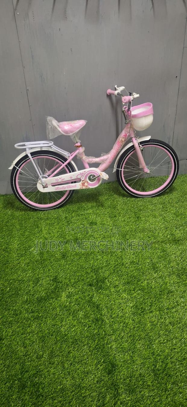 Size 20 Bike -Beautiful Pink Girl's Bike