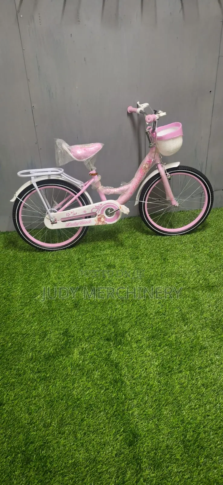 Size 20 Bike -Beautiful Pink Girl's Bike