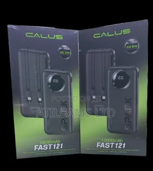 10000mah Powerbank Fast 121
