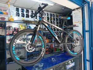 Size 24 Quality Indian Mountain Bike
