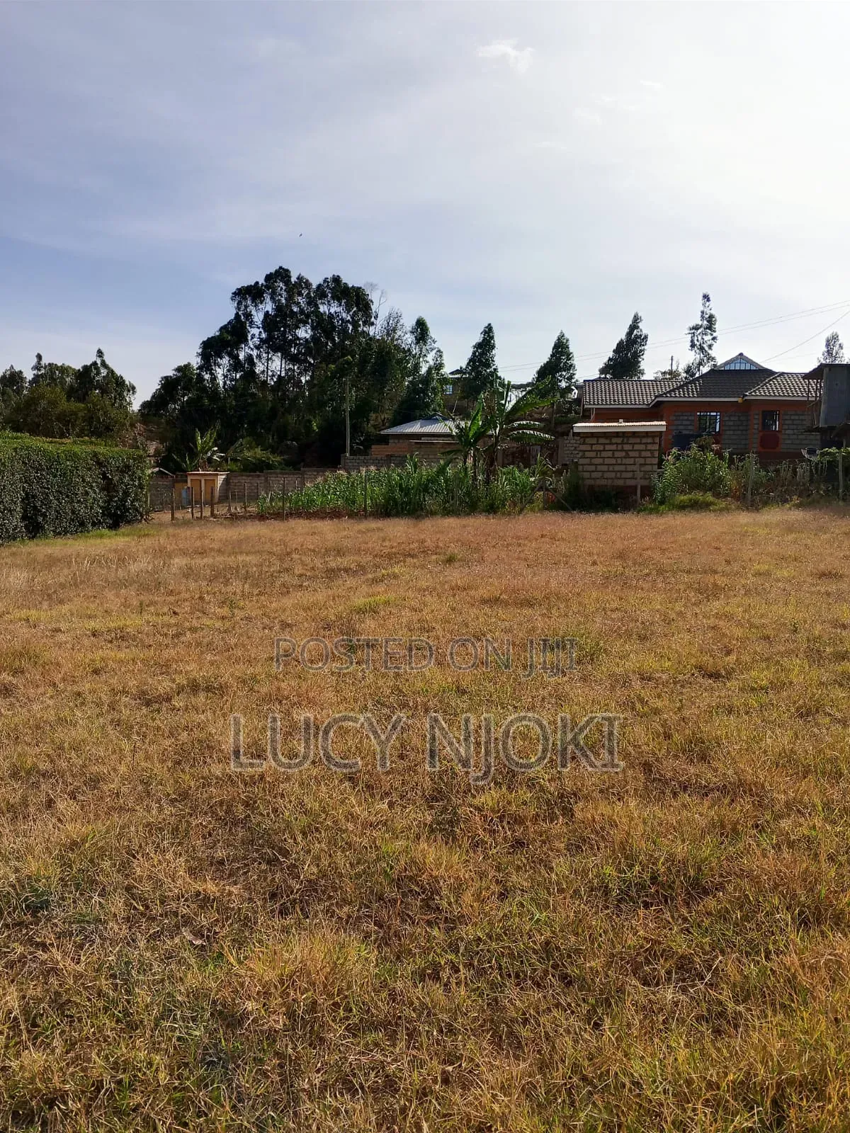 Land for Sale