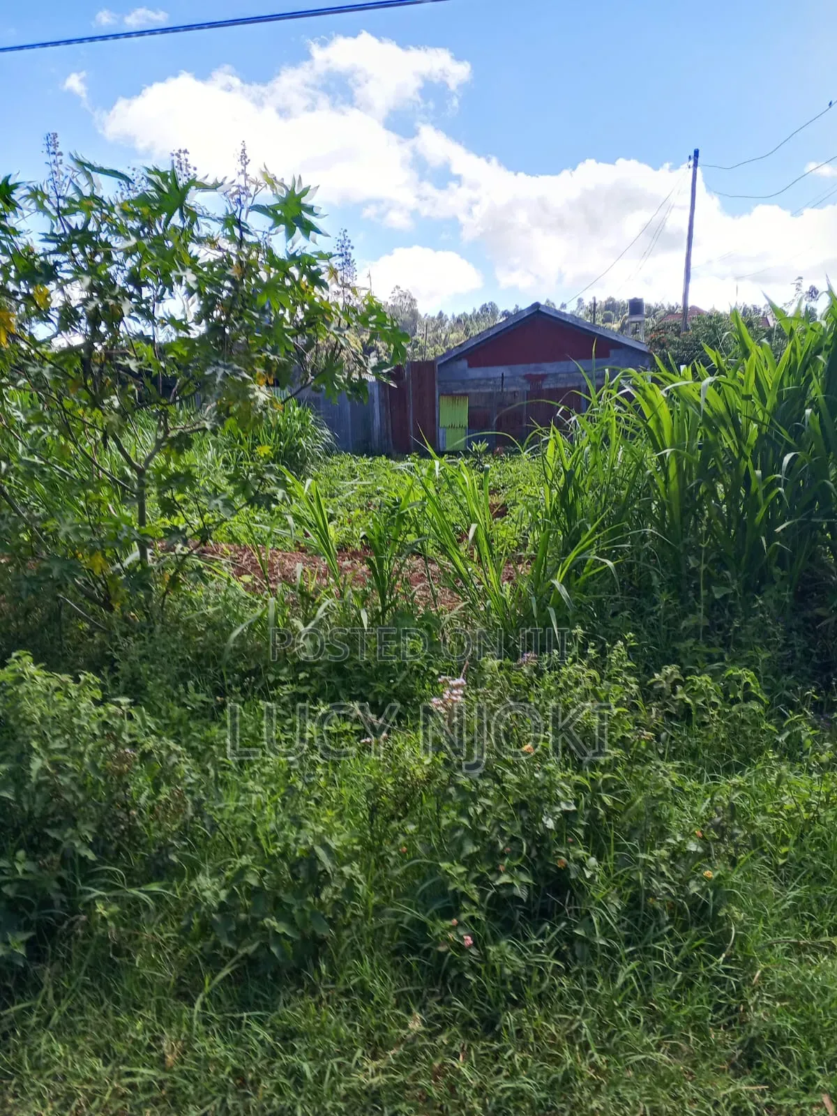 Land for Sale