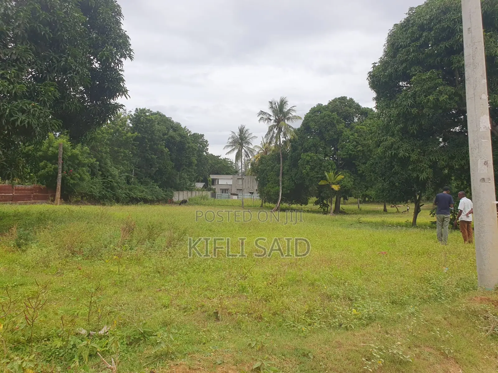 Plot for Sale, Mtwapa - Ready Title Deeds
