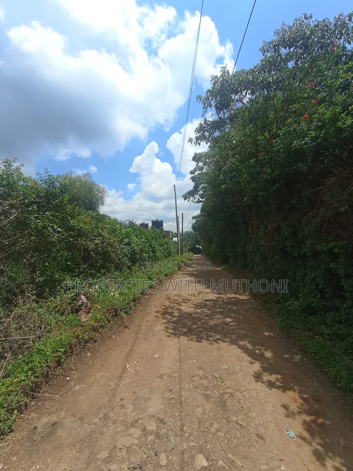 100×100 Plot for Sale in Olkeri,Ngong.
