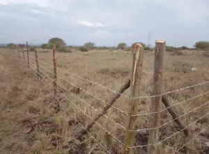 Plots in Kitengela