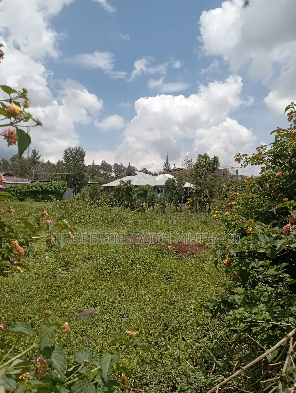 50×100 Plot for Sale in Olkeri, Ngong.