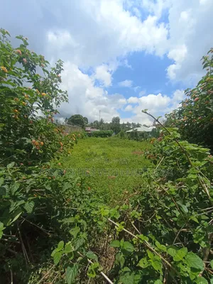 50×100 Plot for Sale in Olkeri, Ngong.