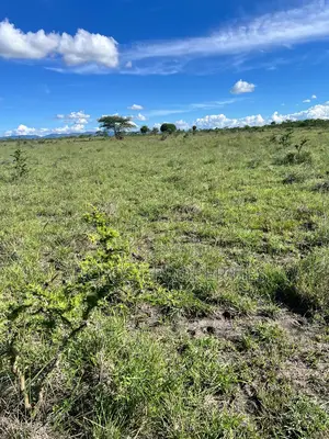 50 by 100 Residential Plots for Sale in Malaa- Flexible Payment Plan