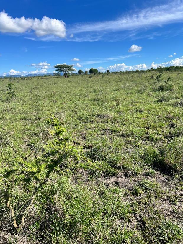 50 by 100 Residential Plots for Sale in Malaa- Flexible Payment Plan