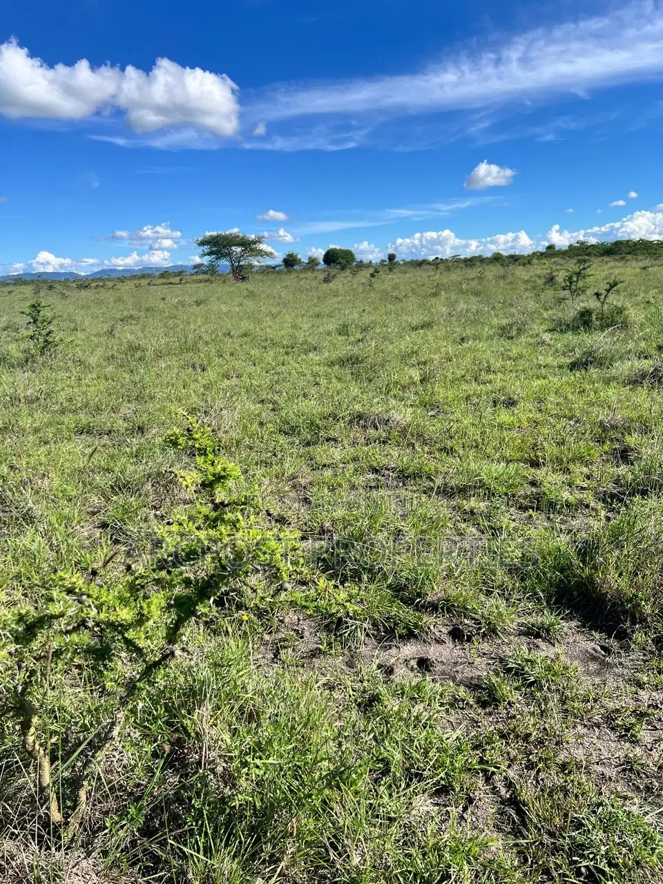50 by 100 Residential Plots for Sale in Malaa- Flexible Payment Plan