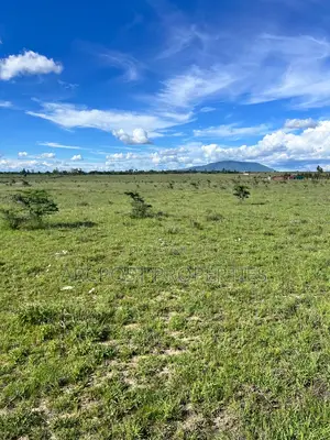 50 by 100 Residential Plots for Sale in Malaa- Flexible Payment Plan