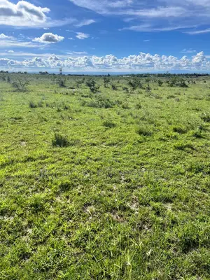 50 by 100 Residential Plots for Sale in Malaa- Flexible Payment Plan