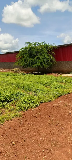 Farm for Sale