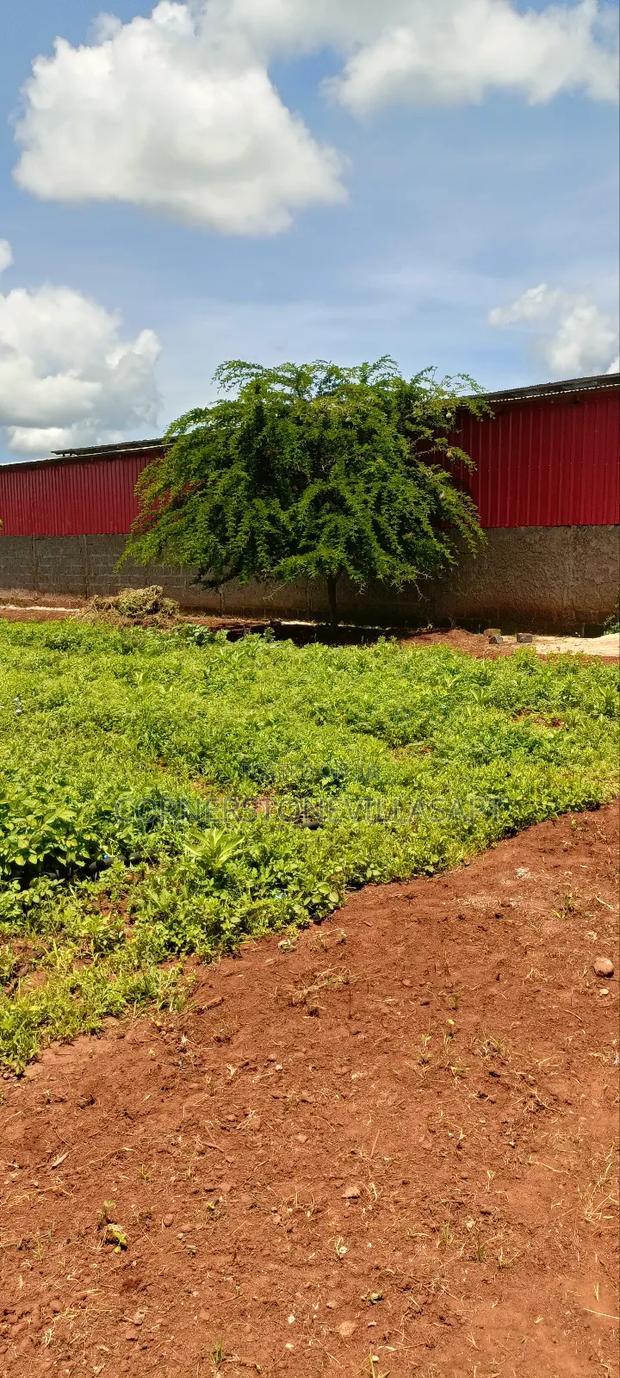 Farm for Sale - thumbnail 2