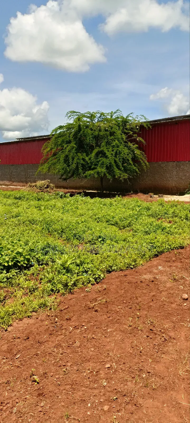 Farm for Sale