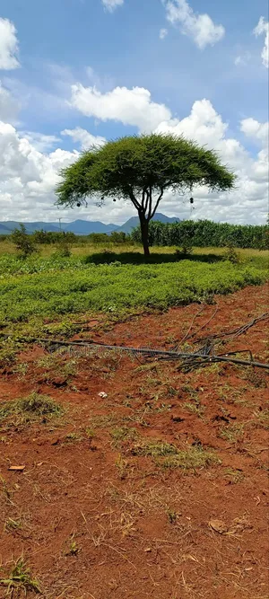 Farm for Sale