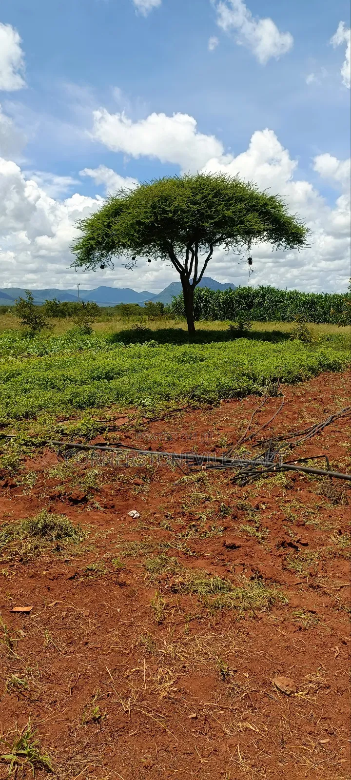 Farm for Sale