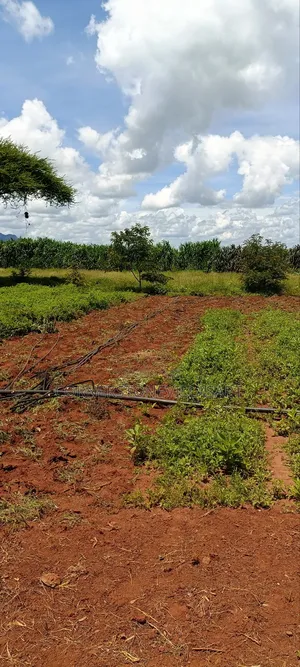 Farm for Sale