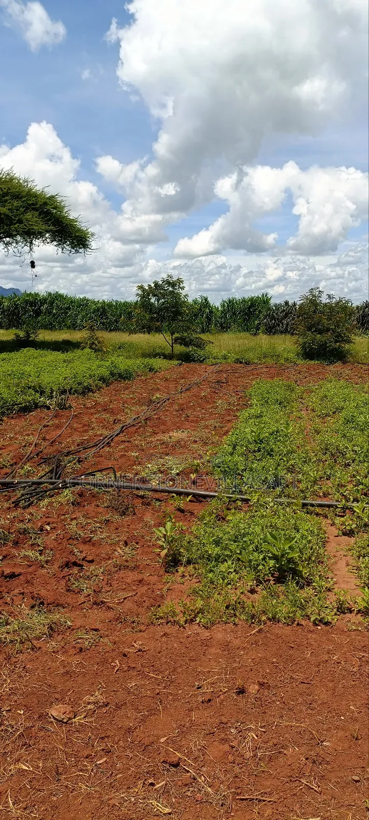 Farm for Sale