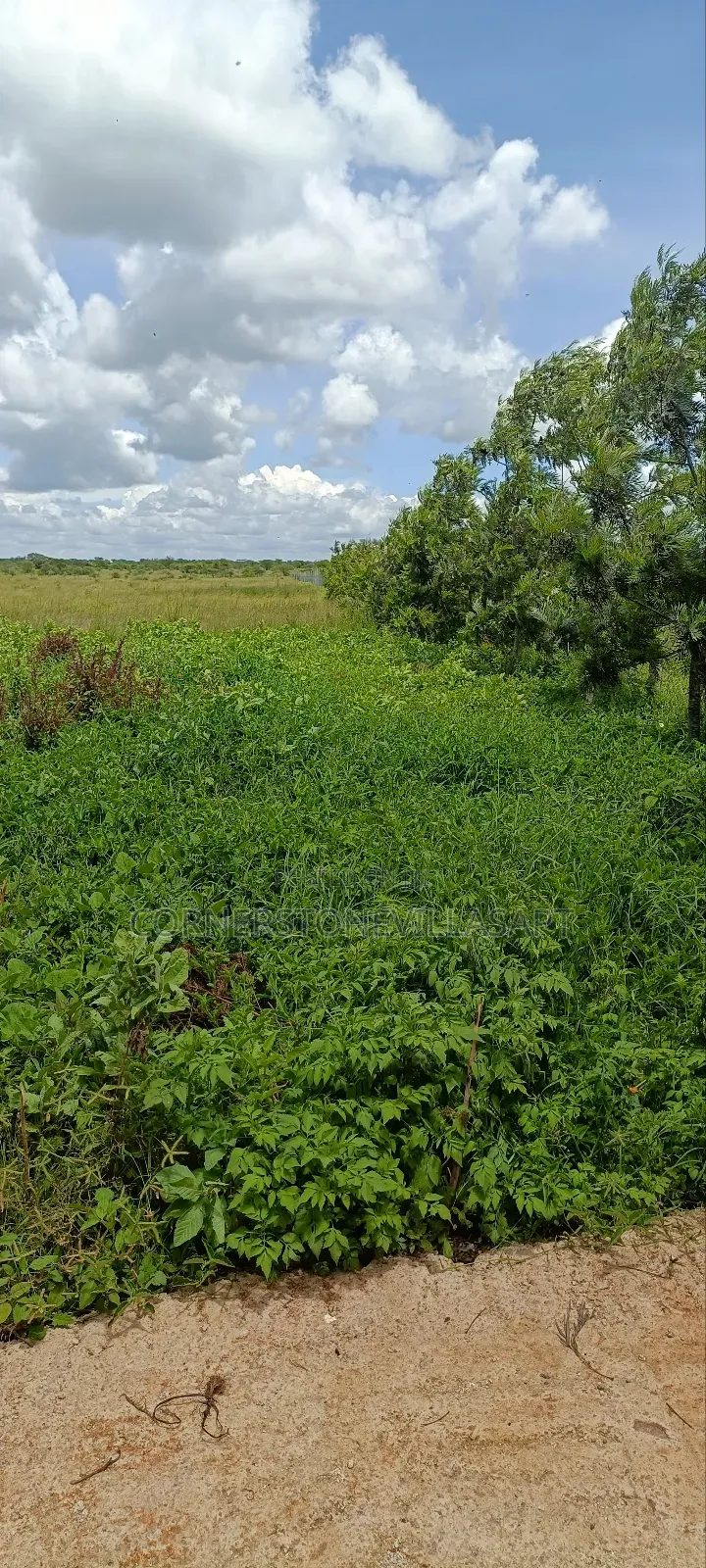 Farm for Sale