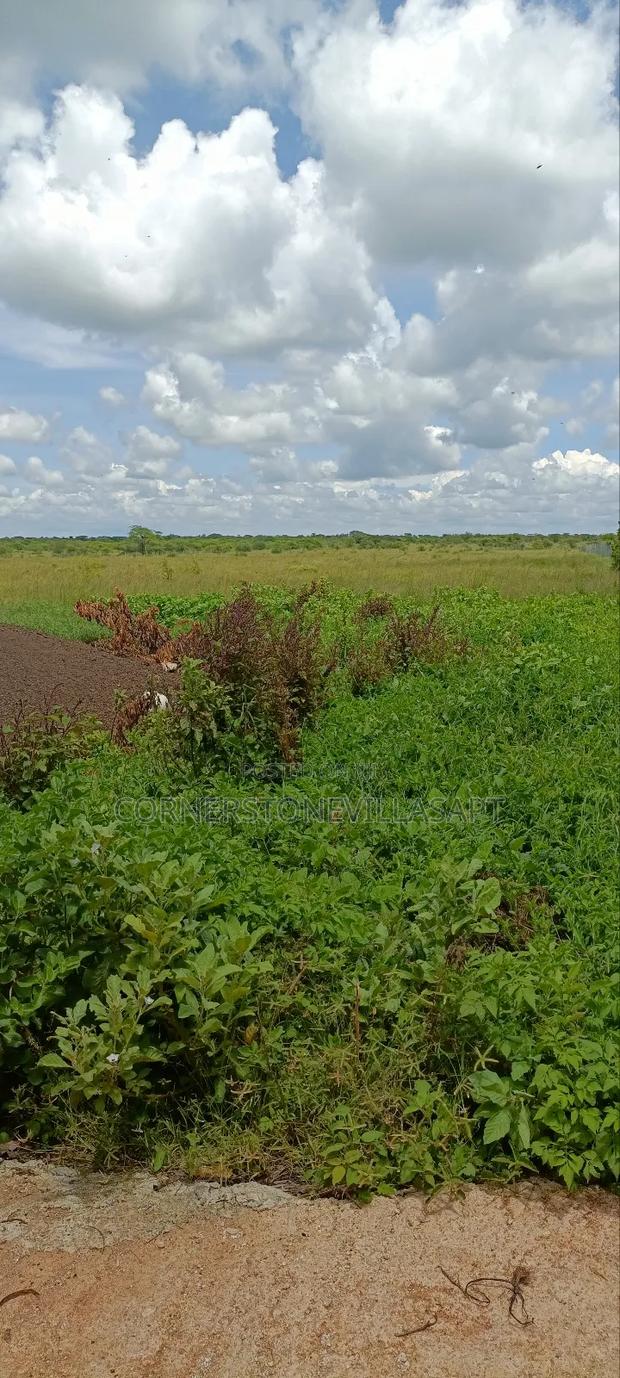 Farm for Sale - thumbnail 7