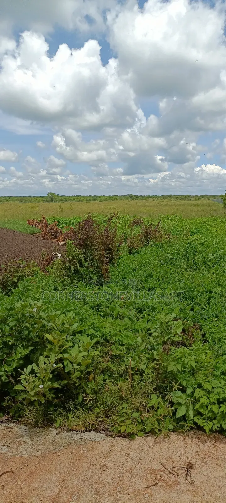Farm for Sale
