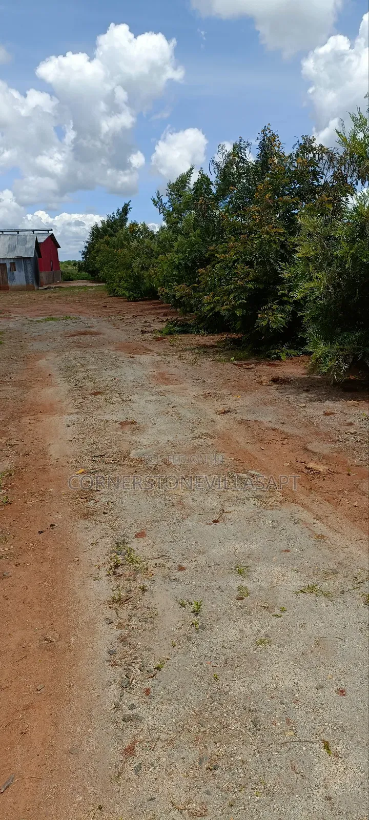 Farm for Sale