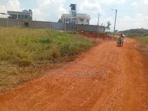50×100 Murera Plot