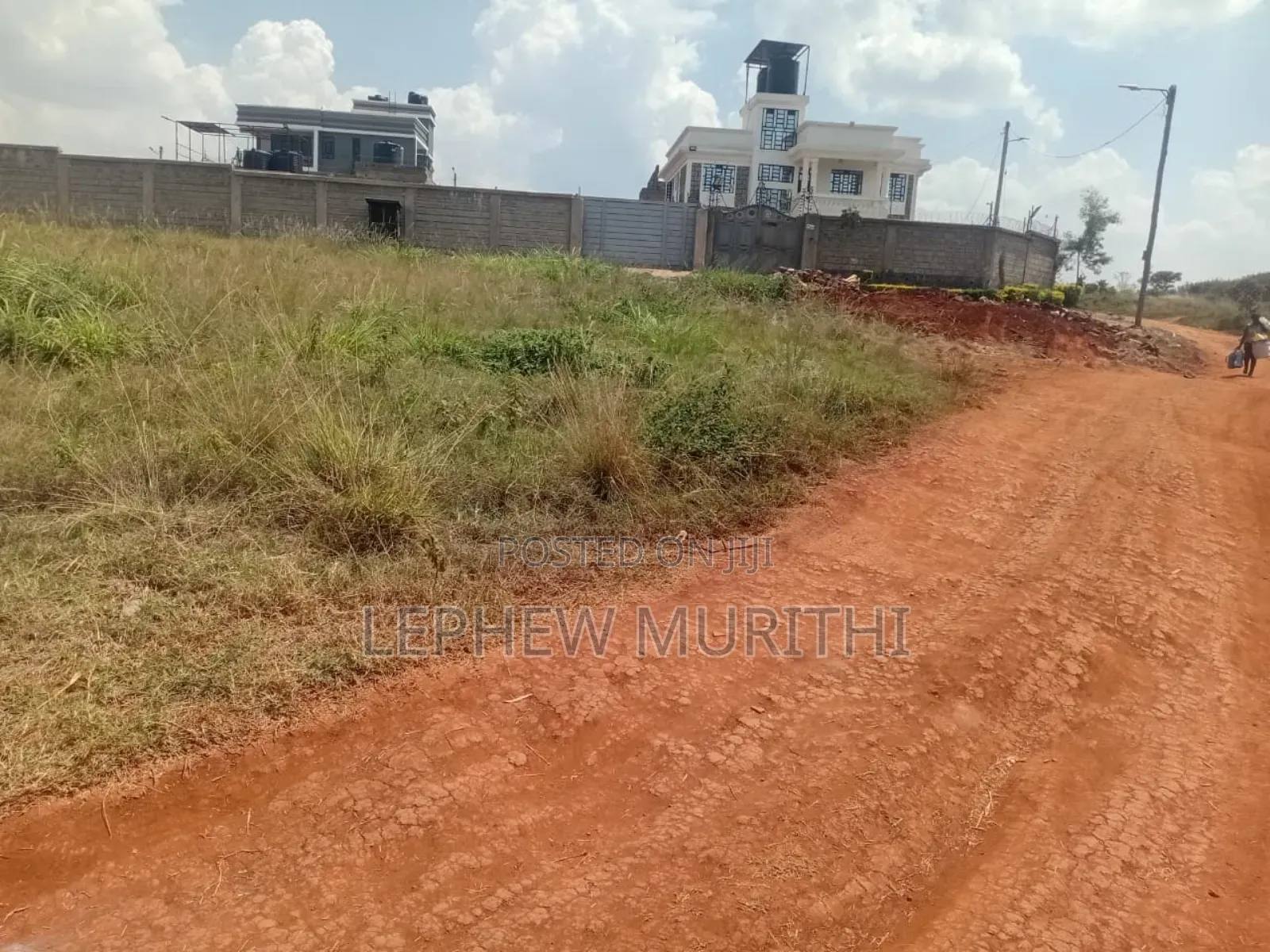 50×100 Murera Plot