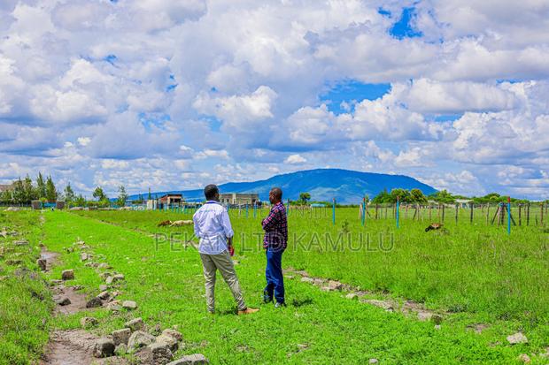 Affordable 50 by 100 Plots in Malaa - main view