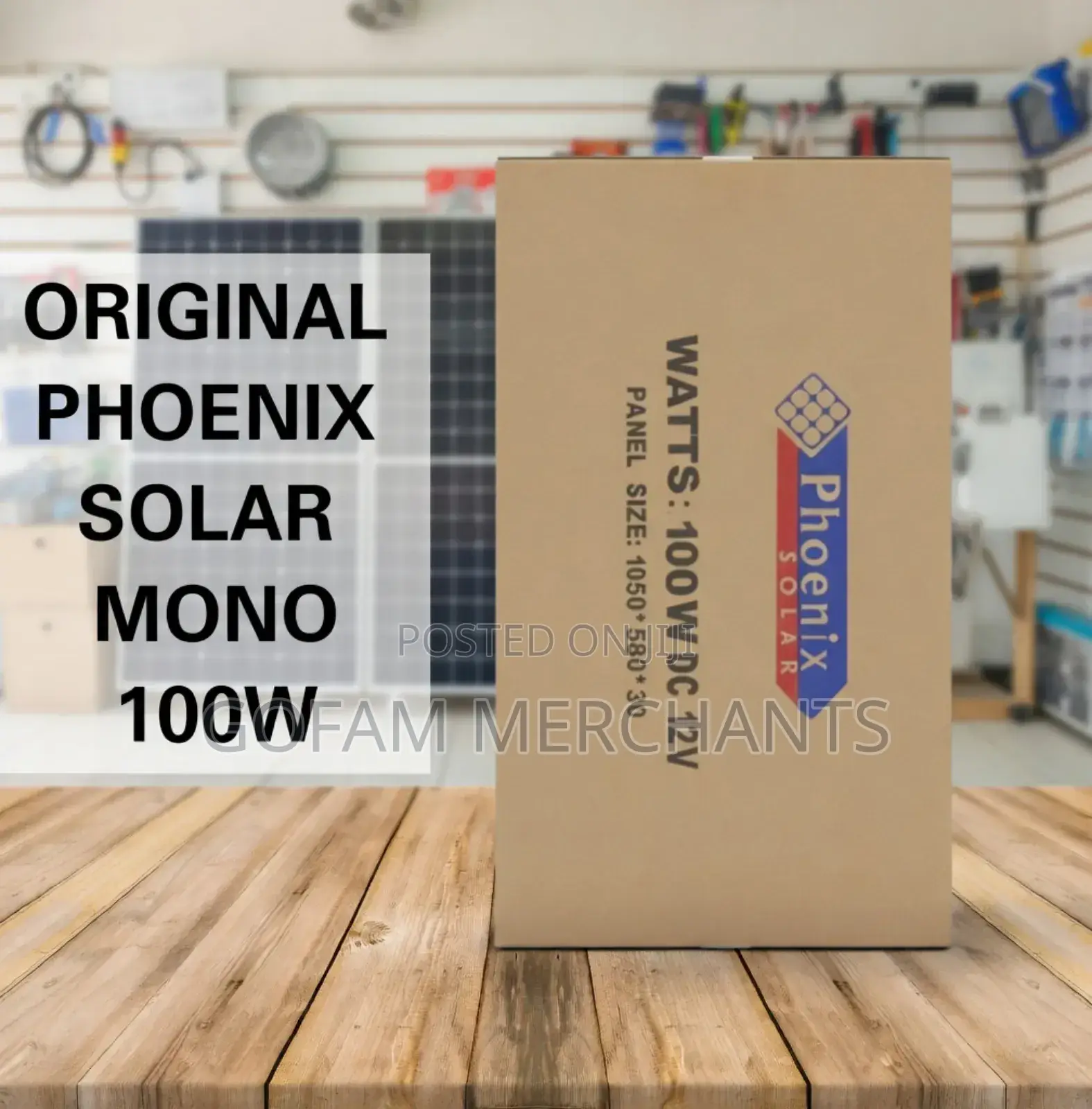 100w 12v Phoenix Germany Monocrystalline Solar Panel