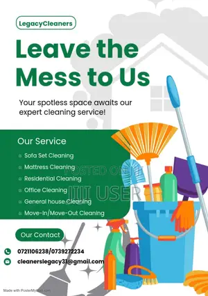 Sofa and House Cleaning Services