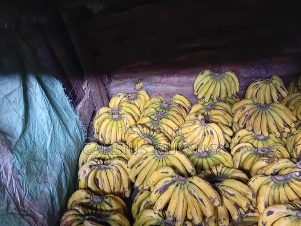 Ripe Bananas