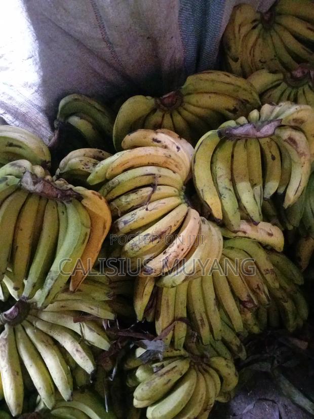 Ripe Bananas - thumbnail 2