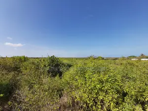 Prime Affordable Quarter Acre Plots Overlooking Ocean