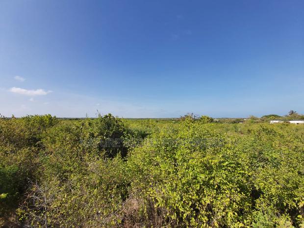 Prime Affordable Quarter Acre Plots Overlooking Ocean - thumbnail 2