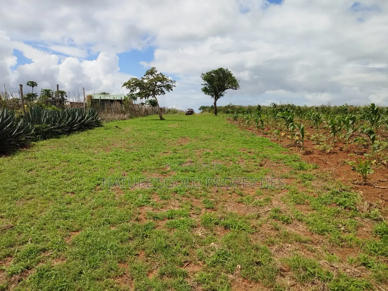 Prime Affordable Quarter Acre Plots Overlooking Ocean