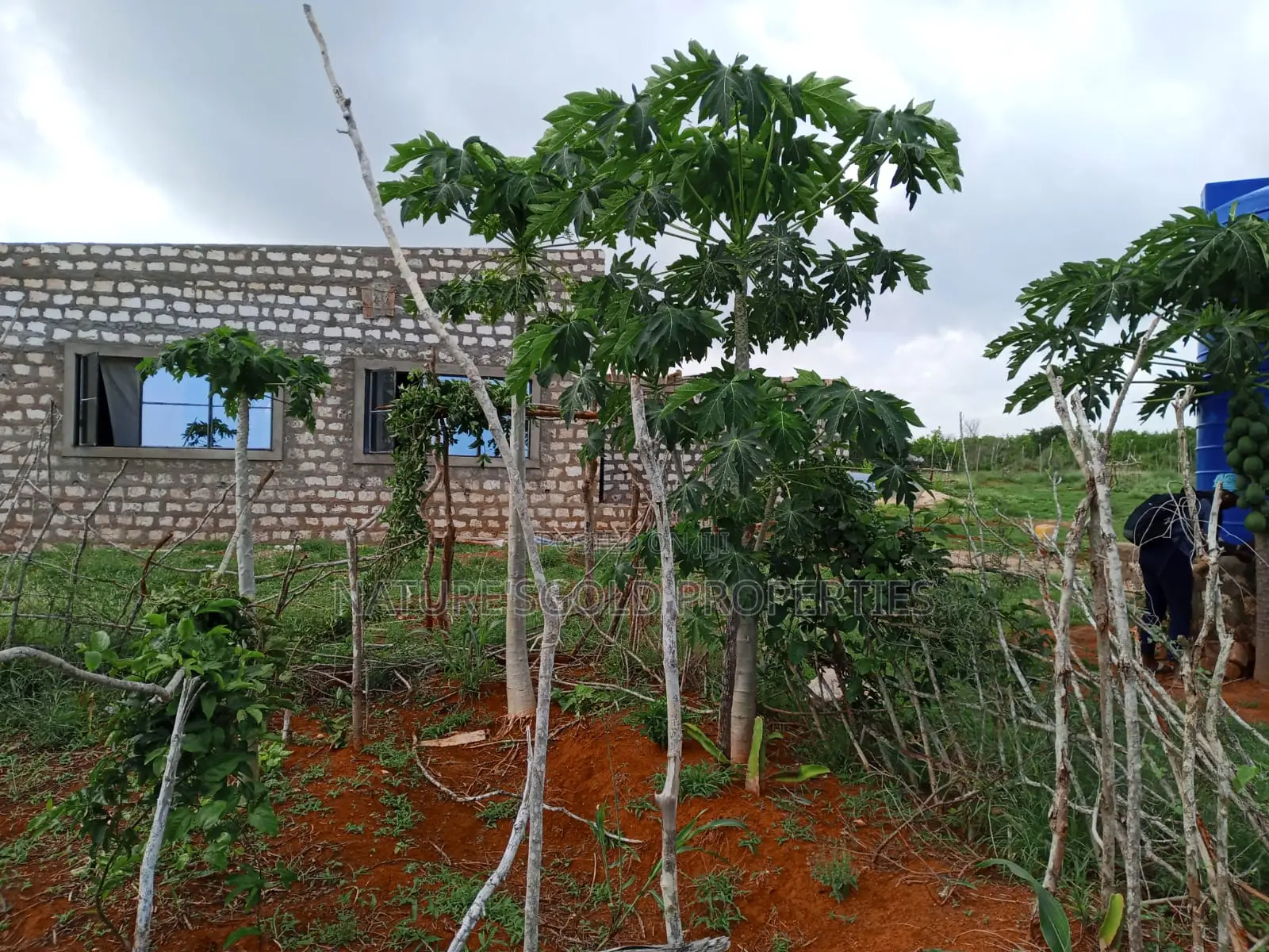 Prime Affordable Quarter Acre Plots Overlooking Ocean