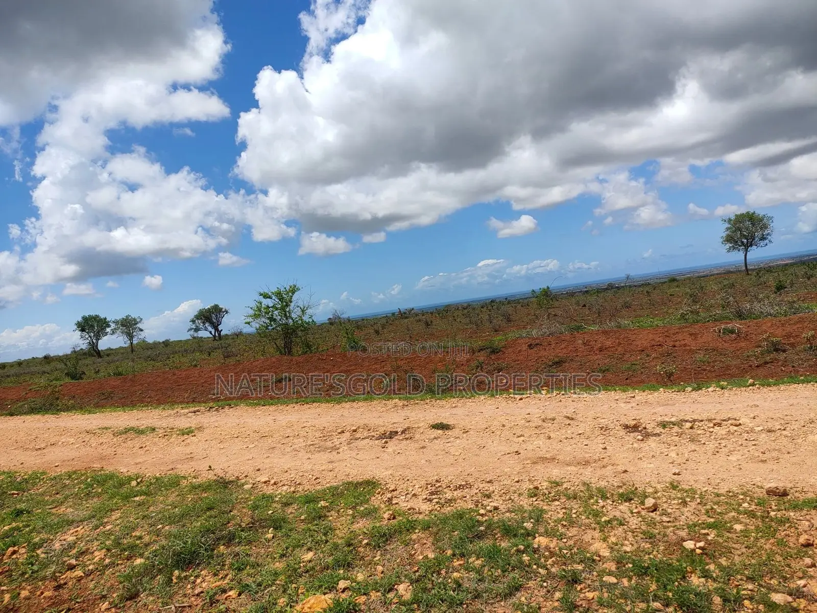Prime Affordable Quarter Acre Plots Overlooking Ocean