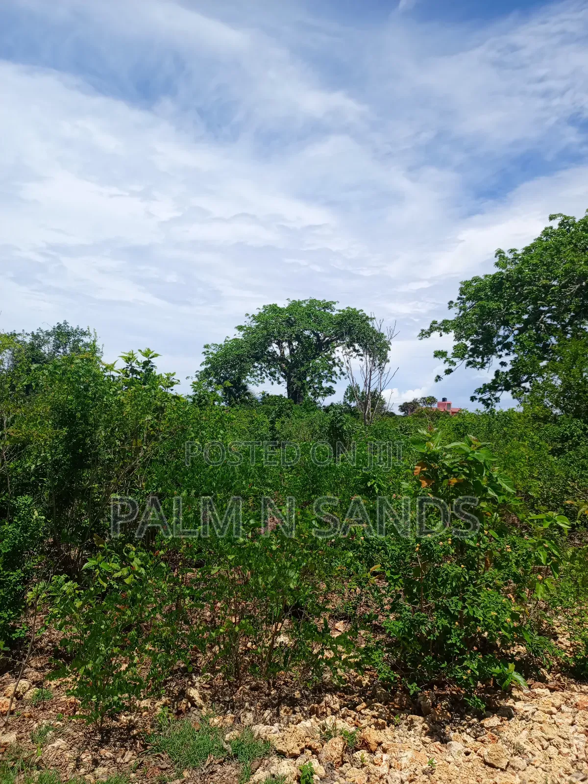 One Acre in Galu Beach Diani on Sale